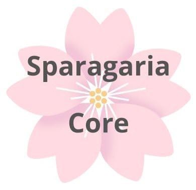 Sparagaria Coaching y Refuerzo Escolar